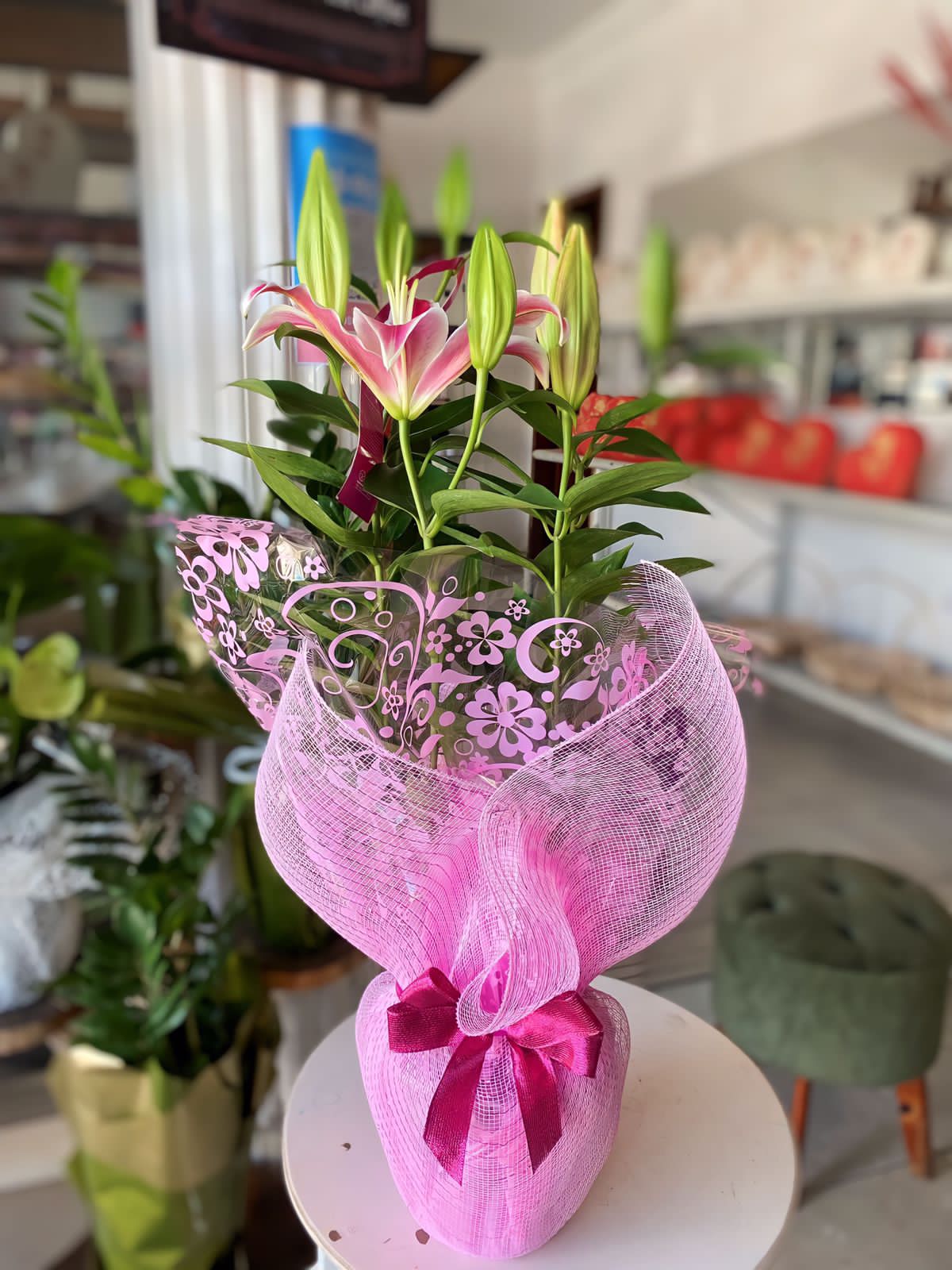 Lrio Rosa