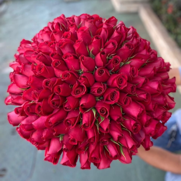Buqu 200 Rosas vermelhas