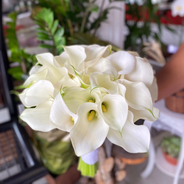 Buqu de Callas